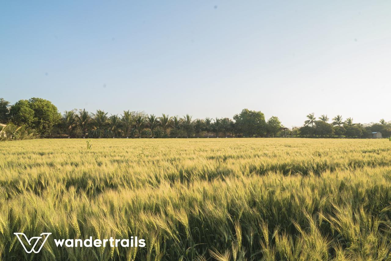 غابة غير Lookout Villa - A Wandertrails Stay المظهر الخارجي الصورة